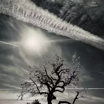 “Trees & (con)trails.” Irvine, CA.