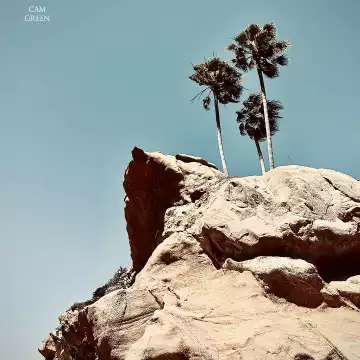 "Perched & parched." Laguna Beach, CA.