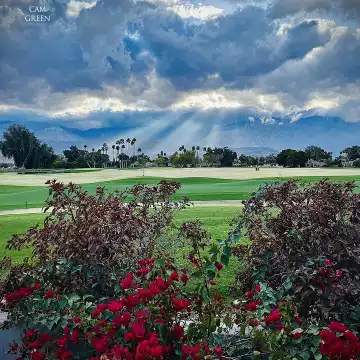 "Catching rays." Rancho Mirage, CA.