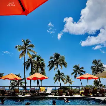 “Shady situation.” Waikīkī, Oahu.