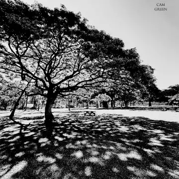 “Shadow-casting.” Waikīkī, Oahu.