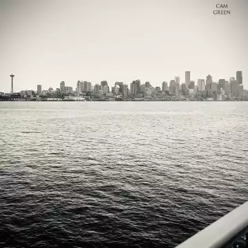 “Needle in a graystack.” Seattle, WA.