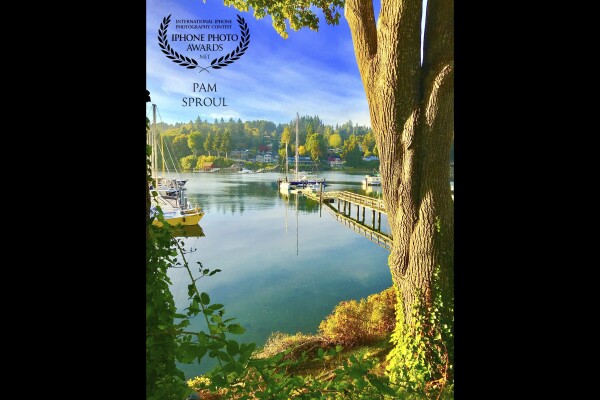  This was a beautiful fall day and the colors were so like a watercolor on Eagle harbor, Bainbridge Island. I don’t do a lot of editing but this particular photo I edited a little more on my iPhone.