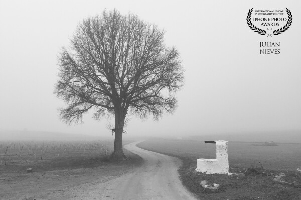 Una fría mañana de niebla en los campos de Castilla la Mancha en  Madridejos, destacando el antiguo pozo con su abrevadero que servia para sacar agua y dar de beber a los rebaños.