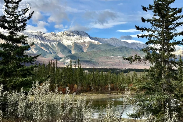 My husband and I love Alberta/British Columbia road trips, especially in the fall. We were on our way to Jasper when this pretty mountain vista caught my eye. It just needed a little natural framing to perfect it. 
