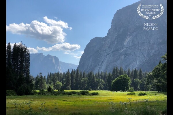 Thank you for the little traffic in the park, which made me stop driving and start shooting. It gave me the time to take a snap at this magnificent Yosemite valley from my car.