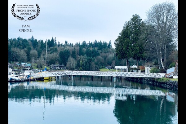 A glimpse of light in winter ~ the silver light cast is the trees ~the sweet reflection of the dock~iPhone 11<br />
Harbor Reflections -Bainbridge Island 
