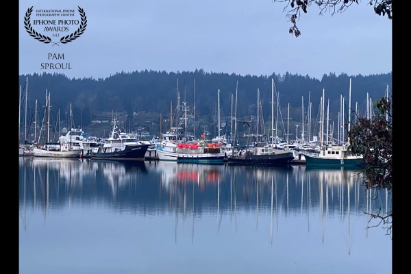 Nature has the power to heal and restore, something we need at this time in our lives~ these magnificent clouds on a warm spring day were my gift and helped restore my spirits~so very happy to share with you<br />
Lytle Beach Reflections~ Bainbridge Island WA