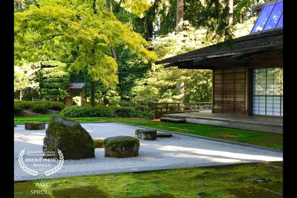 Strolling through the Bloedel reserve on a sunny spring day I happened upon this Japanese tea house and was amazed at the contrast between the trees, the rocks and the wooden structure and the way the sand looked almost like a soft shimmer of water.<br />
Tradition in Nature “2020”<br />

