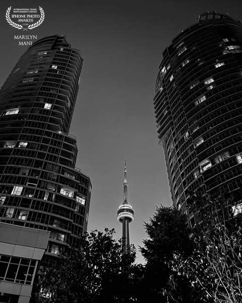 The majestic CN tower shining through even behind the trees and buildings! Capturing this beauty is a pleasure always and the city at night vibe is bliss. The city sparkles at night and that’s what I’ve tried to capture here.