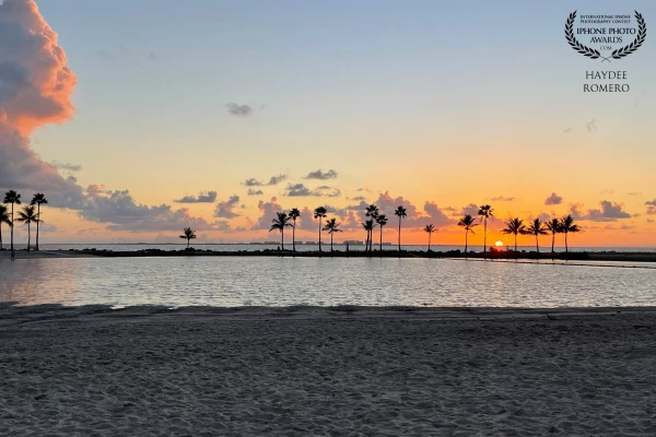 Another beautiful sunrise where  the palm trees rise up against patchy clouds as the sun starts to come out in Matheson Hammock Park in south Miami, Florida.