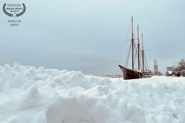 The colour of springtime is flowers, the colour of winter is in our imagination. A perfect frozen moment captured here leads us to imagine Toronto Harbourfront’s beloved Empire Sandy traversing through frozen Lake Ontario.