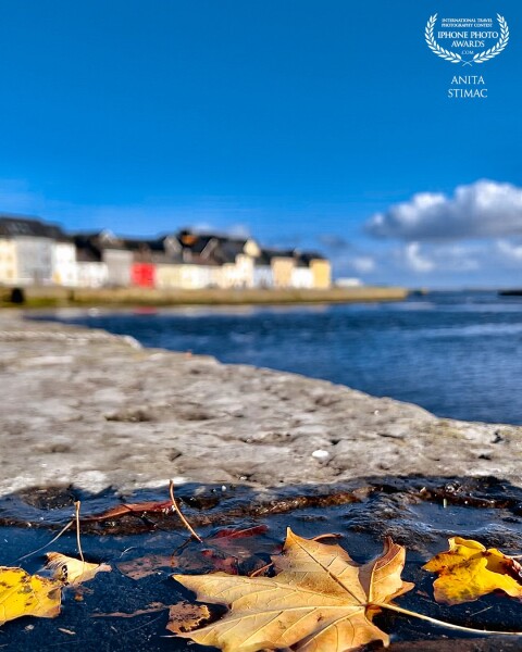 “Fallen leaves on the ground are the golden song of immortal creativity.” <br />
<br />
One of the very best things about Autumn is witnessing the leaves transform through a spectrum of shades before ultimately falling, creating a vibrant carpet of colour.<br />
<br />
The Long Walk, Galway City, Ireland.