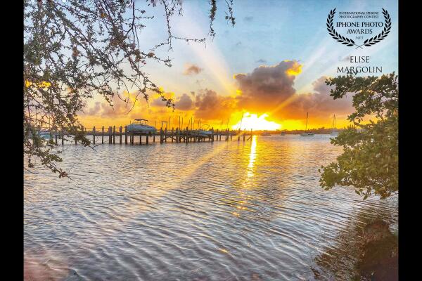 This is what winter looks like in West Palm Beach Florida. Not your typical frosty toed, icicle laiden path that one visualizes when they hear the word “winter” indeed.  