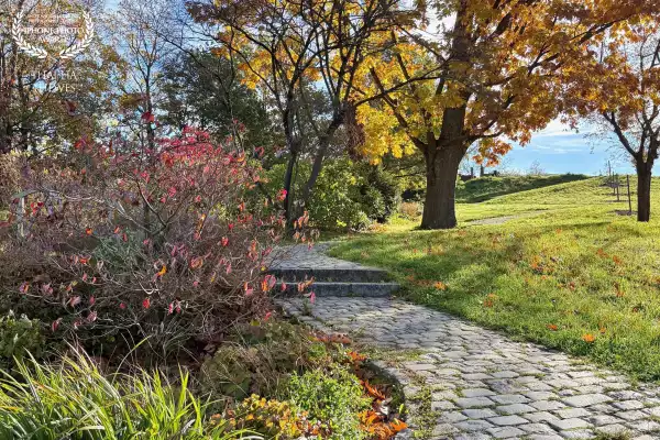 Lovely fall colors and leaves in the park near the lake Flückigersee in Freiburg, Black Forest, Germ...