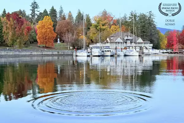 I threw a rock to give the ripple effect 
Location: Vancouver, BC
Device: iPhone 16Pro