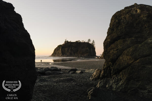 Echoes from the Edge 003

The PNW teaches light to whisper—through rain, trees, beaches.