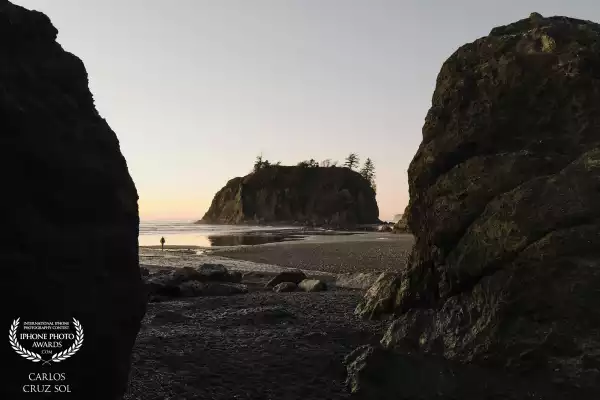 Echoes from the Edge 003

The PNW teaches light to whisper—through rain, trees, beaches.