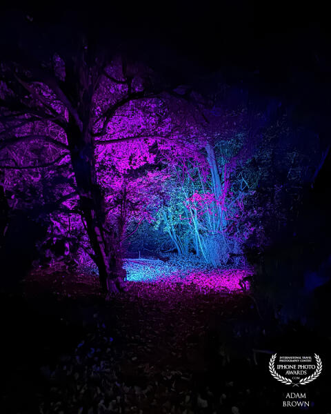 Otherside.

Taken in Hylands Park, Chelmsford as part of the Enlightened illuminated trail.