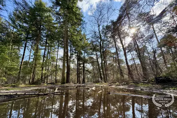 Trailrun with extra mud