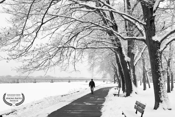 “Solitude in White”