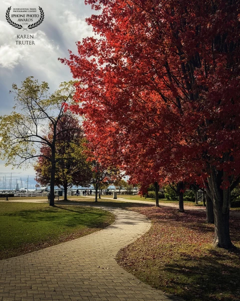 The winding path through Rotary Park in Cobourg, Ontario leads the eye to the marina. The magnificent Canadian Red Maple trees were at their peak beauty.