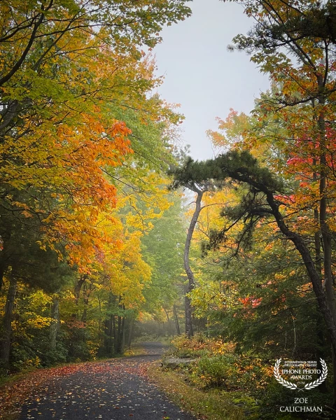 New York update Minnewaska State Park dressed up in foliage.