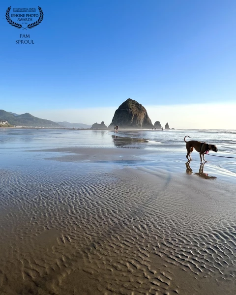 Capturing our rescue girl Roxy Ann in this incredible reflection at one of our favorite spots in the world ~ magic.<br />
<br />
“light layers at Cannon Beach” - 2023