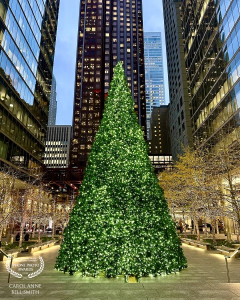 Downtown Toronto right before Christmas at dusk.