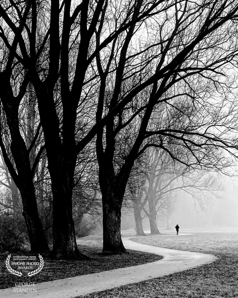 A park covered in mist provides good opportunities for black-and-white photography.
