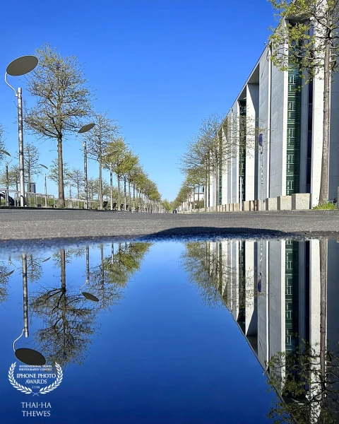 A puddle reflection of a tree-lined road beside the Marie-Elisabeth-Lüders-Haus, a parliament buildi...