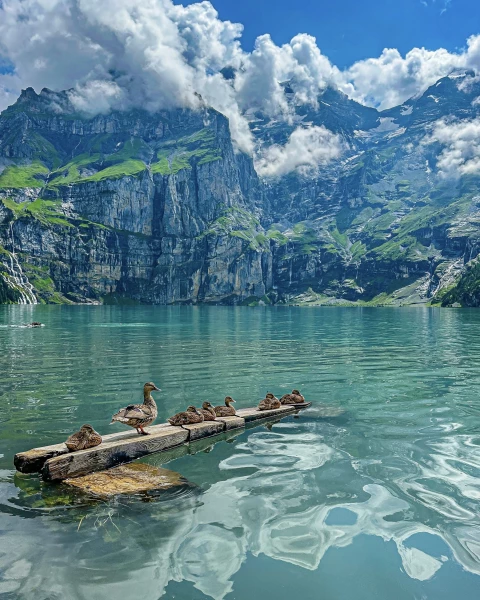 “All Her Ducks in a Row”
Lake Oeschinen, Switzerland.