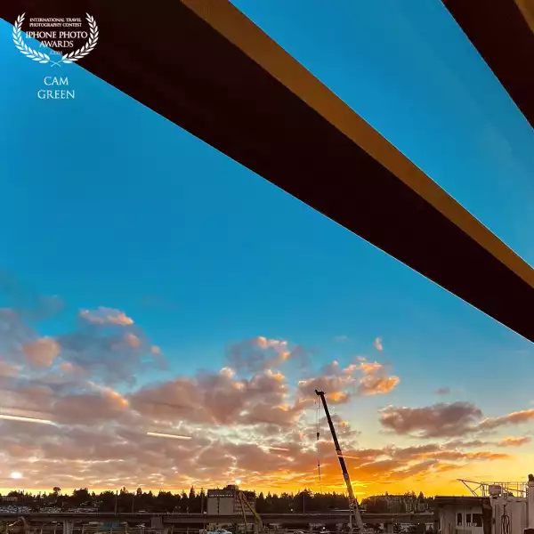 “Early riser.” Sea-Tac, WA.