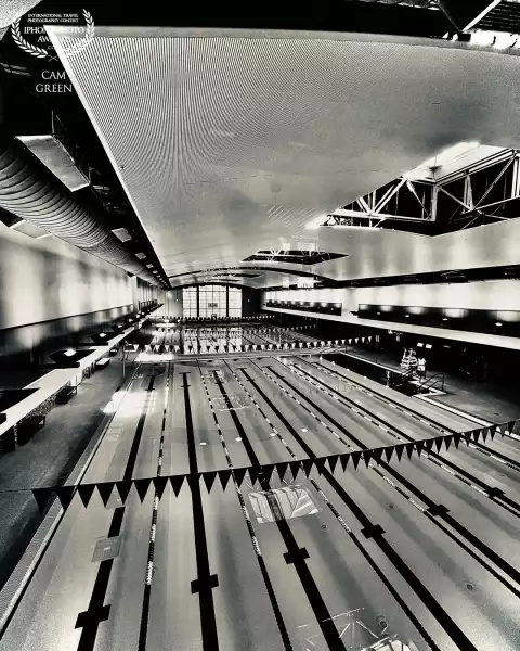 “Life in the fast lanes.” Bellevue, WA.