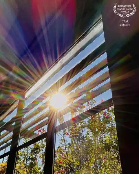 “Starburst” Bellevue, WA.