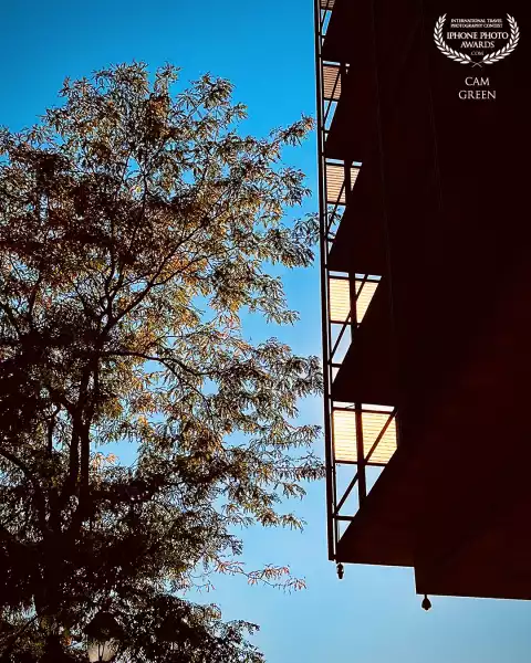 “Sunblocker.” Philadelphia, PA.