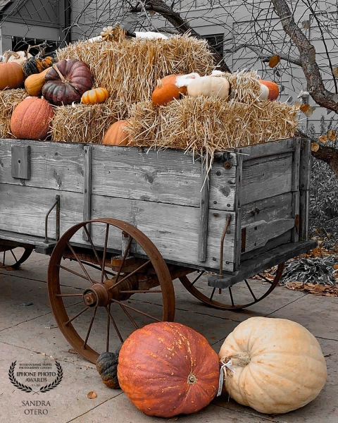 Time to celebrate Fall and a time for pumpkins.