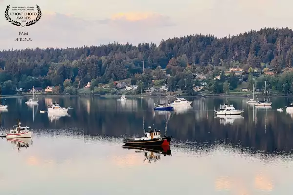 The pink clouds in the water ~ the red tugboat ~ a bit of paradise <br />
“Red Tug on Liberty Bay”-2024