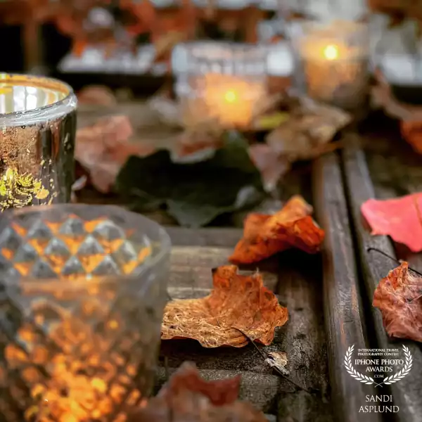 Fall - a season of change, a time to slow down a bit and reminisce and take it all in.