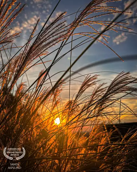 Sunset at Fall in Chattanooga, Tenn.  "Softly the evening came with the sunset" ~ Henry Wadsworth Longfellow.