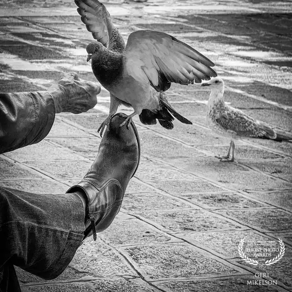 Sitting along a Venice Canal I noticed this woman feeding the seagulls. They were all gathered around her but she was only interested in one at a time.