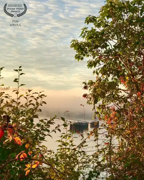The fog rising on Eagle harbor through a peek a boo of fall foliage is one of my favorite fall captures <br />
“Fog rising on the bay”-2020