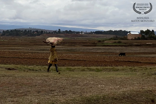 Madagascar - alone in the landscape.