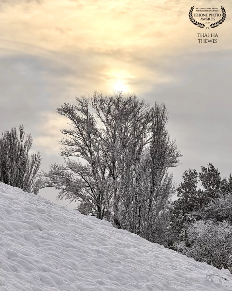 Beautiful sunlight in the morning after heavy snowfall. Shot in Freiburg, Black Forest, Germany.