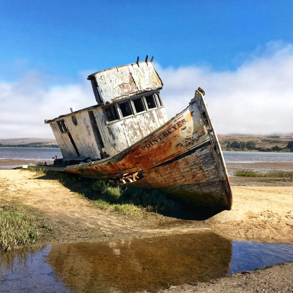 The iconic Point Reyes Shipwreck is full of photographic opportunities. Located in Inverness, Califo...