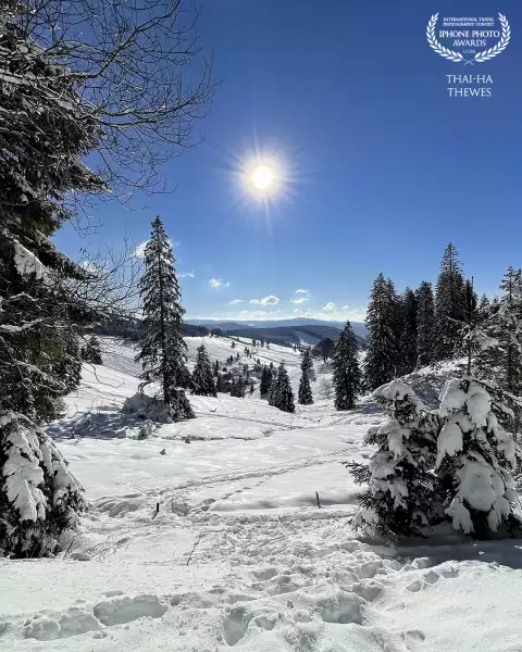 Beautiful view on a hiking route near Todtnauberg, Black Forest, Germany.