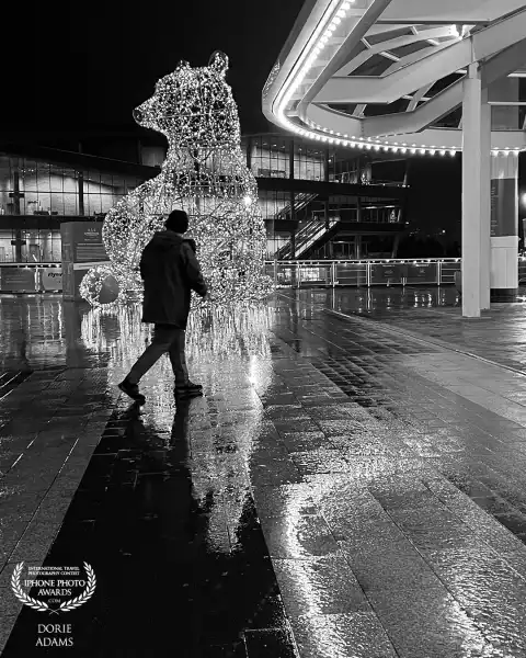 Holiday Season shot on night time at Canada Place in Vancouver, BC  Taken with iPhone 13Pro.