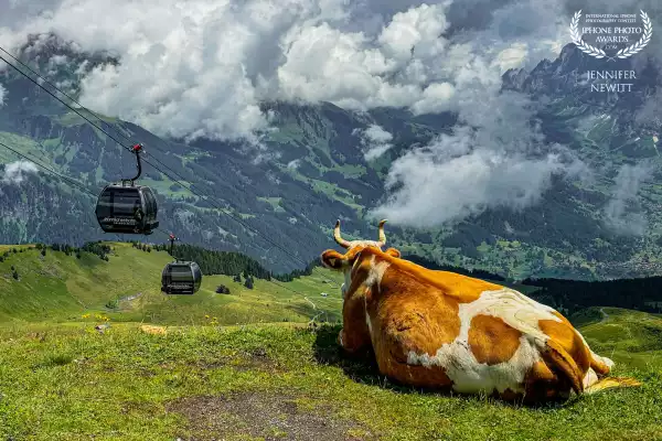 Watching the Cars Go By<br />
Mannlichen, Switzerland