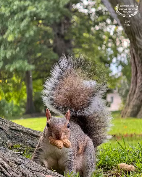 Snack secured. Threats detected.