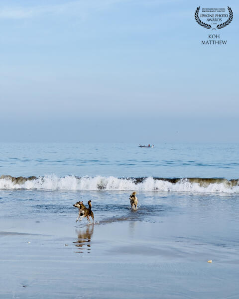 Taken during a walk with my wife in the earlier hours at a beach in Bali. Memorable moment spent tog...